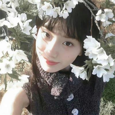 十二国记在线观看